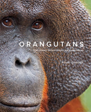 Orangutans Their History, Natural History and Conservation - Ronald Orenstein [KSIĄŻKA]