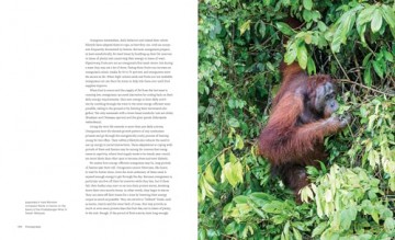 Orangutans Their History, Natural History and Conservation - Ronald Orenstein [KSIĄŻKA]
