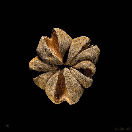 Seeds - Michel Butor [KSIĄŻKA]