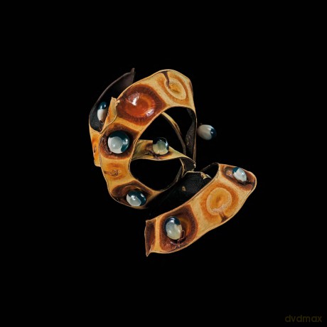 Seeds - Michel Butor [KSIĄŻKA]