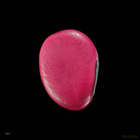 Seeds - Michel Butor [KSIĄŻKA]