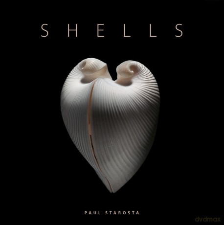 Shells (Jacques and Rita Senders Collection) - Jacques Senders [KSIĄŻKA]