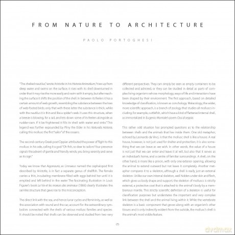 Shells (Jacques and Rita Senders Collection) - Jacques Senders [KSIĄŻKA]