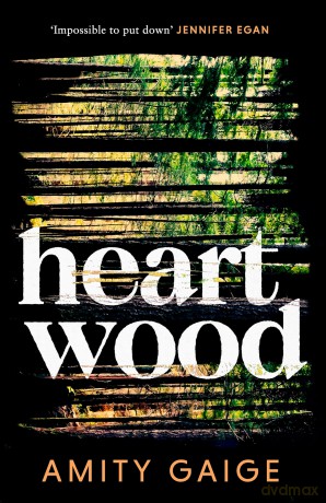 Heartwood: 'nearly impossible to put down' Jennifer Egan - Amity Gaige [KSIĄŻKA]
