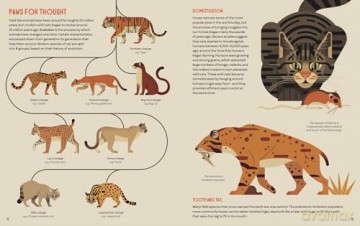Crazy About Cats (About Animals) - Owen Davey [KSIĄŻKA]
