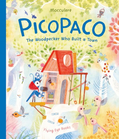 Picopaco - Mojca Novak [KSIĄŻKA]