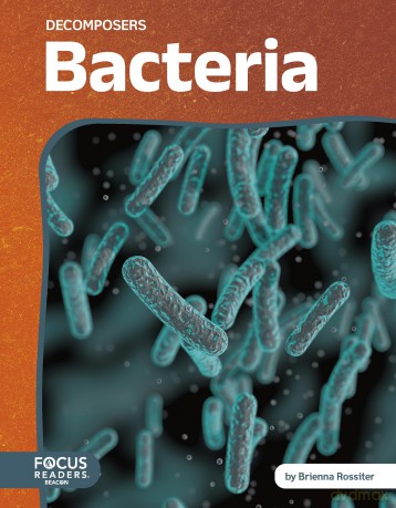 Bacteria (Decomposers) - Brienna Rossiter [KSIĄŻKA]