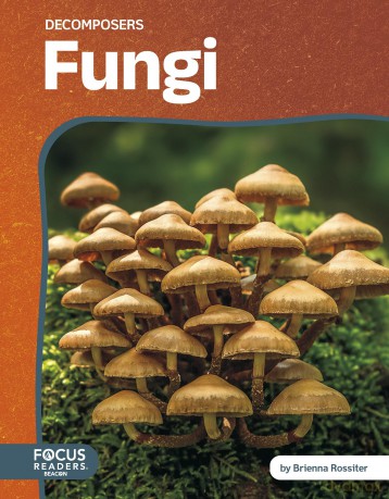 Fungi (Decomposers) - Brienna Rossiter [KSIĄŻKA]