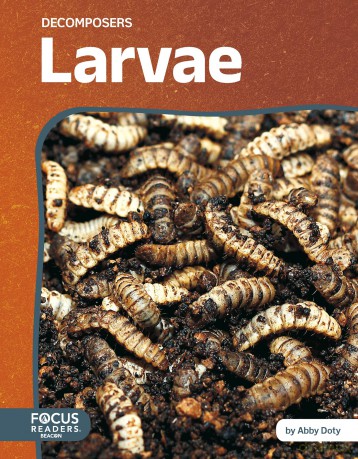 Larvae (Decomposers) - Abby Doty [KSIĄŻKA]