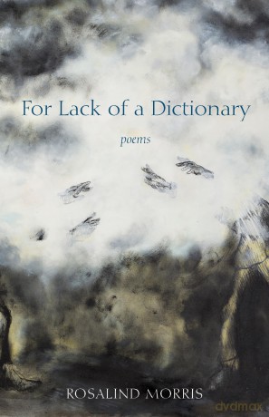 For Lack of a Dictionary - Rosalind Morris [KSIĄŻKA]
