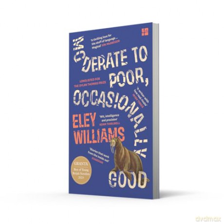 Moderate to Poor, Occasionally Good: Shortlisted for the 2025 Dylan Thomas Prize - Eley Williams [KSIĄŻKA]
