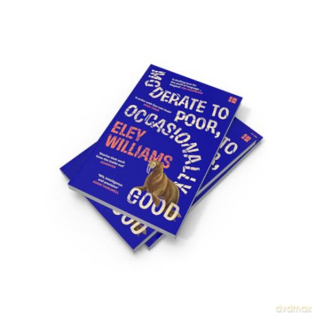 Moderate to Poor, Occasionally Good: Shortlisted for the 2025 Dylan Thomas Prize - Eley Williams [KSIĄŻKA]