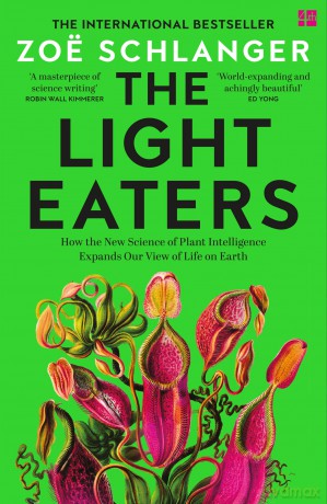 The Light Eaters: The Acclaimed International Bestseller - Zoë Schlanger [KSIĄŻKA]