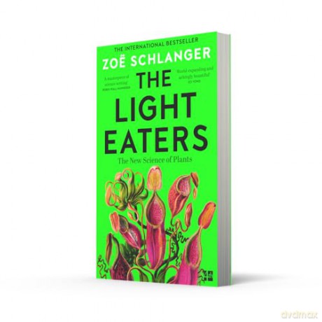 The Light Eaters: The Acclaimed International Bestseller - Zoë Schlanger [KSIĄŻKA]