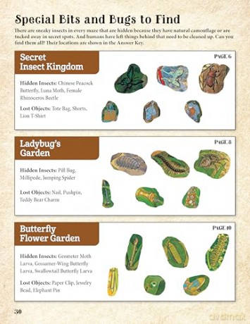 Gentaro Kagawa's Curious Quest: The Hidden World of Insects: Seek-and-Find Maze Challenges - Gentaro Kagawa [KSIĄŻKA]