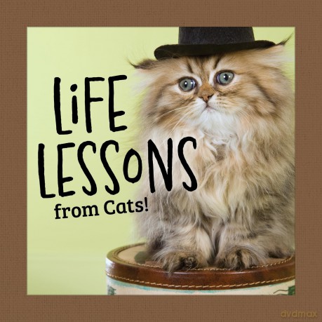 Life Lessons from Cats (Thinking of You) - Grace Peterson [KSIĄŻKA]