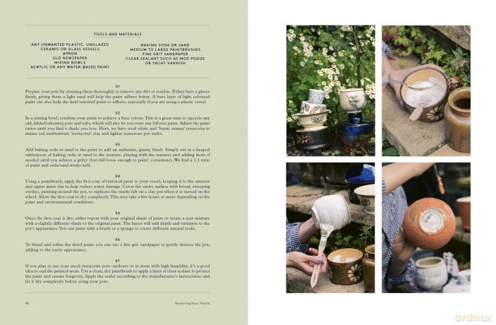 House of Plants: Living with tropical plants, succulents and cacti - Rose Ray [KSIĄŻKA]