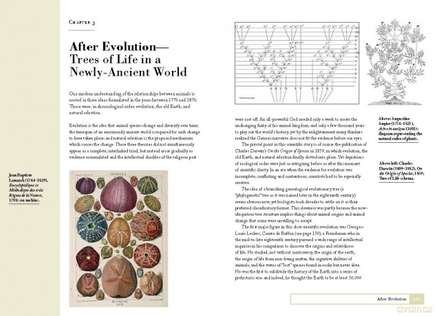 How Zoologists Organize Things: The art of classification - David Bainbridge [KSIĄŻKA]