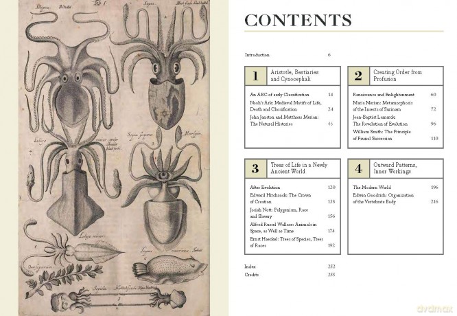 How Zoologists Organize Things: The art of classification - David Bainbridge [KSIĄŻKA]