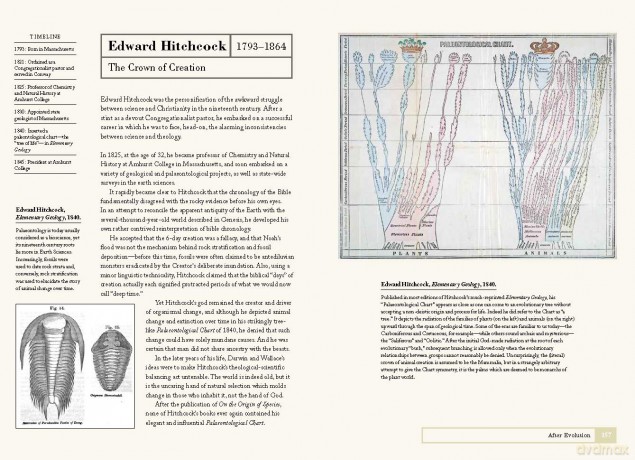 How Zoologists Organize Things: The art of classification - David Bainbridge [KSIĄŻKA]