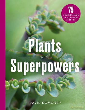 Plants with Superpowers: 75 Remarkable Plants for your Garden and Home - David Domoney C. Hort. FCI Hort. F Wcg. [KSIĄŻKA]