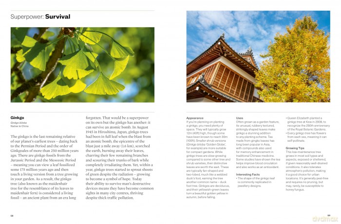 Plants with Superpowers: 75 Remarkable Plants for your Garden and Home - David Domoney C. Hort. FCI Hort. F Wcg. [KSIĄŻKA]