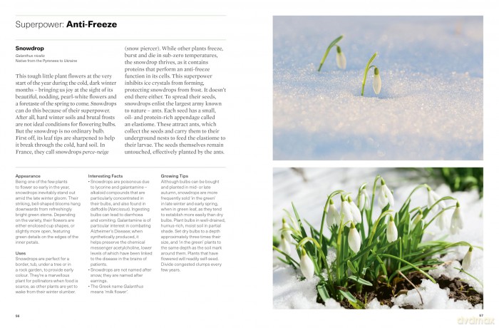 Plants with Superpowers: 75 Remarkable Plants for your Garden and Home - David Domoney C. Hort. FCI Hort. F Wcg. [KSIĄŻKA]
