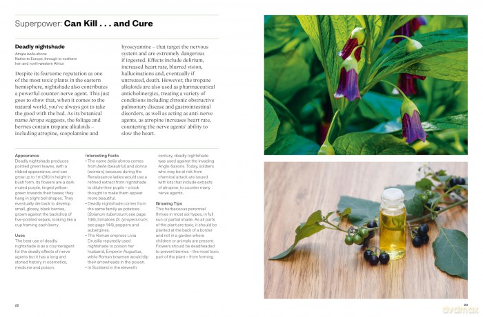 Plants with Superpowers: 75 Remarkable Plants for your Garden and Home - David Domoney C. Hort. FCI Hort. F Wcg. [KSIĄŻKA]