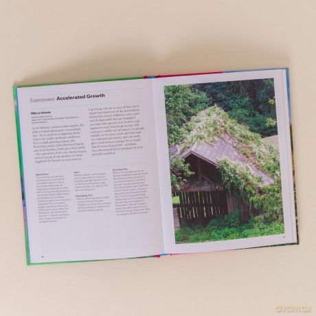 Plants with Superpowers: 75 Remarkable Plants for your Garden and Home - David Domoney C. Hort. FCI Hort. F Wcg. [KSIĄŻKA]