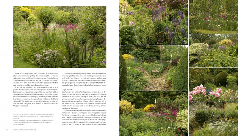 Secret Gardens of Somerset: A Private Tour - Abigail Willis [KSIĄŻKA]
