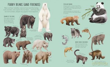A Whole World of...: Mammals - Anna Claybourne [KSIĄŻKA]