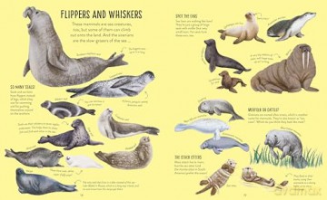 A Whole World of...: Mammals - Anna Claybourne [KSIĄŻKA]