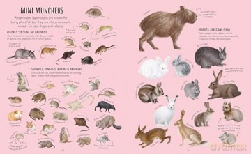 A Whole World of...: Mammals - Anna Claybourne [KSIĄŻKA]