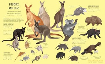 A Whole World of...: Mammals - Anna Claybourne [KSIĄŻKA]