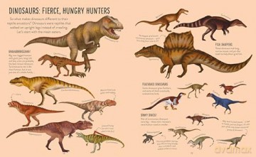 Prehistoric Life (A Whole World of... Book 1) - Anna Claybourne [KSIĄŻKA]