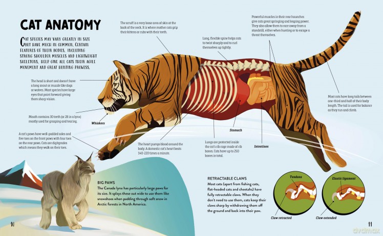 The Furry History of Cats - Clive Gifford [KSIĄŻKA]