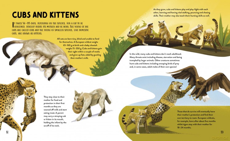 The Furry History of Cats - Clive Gifford [KSIĄŻKA]