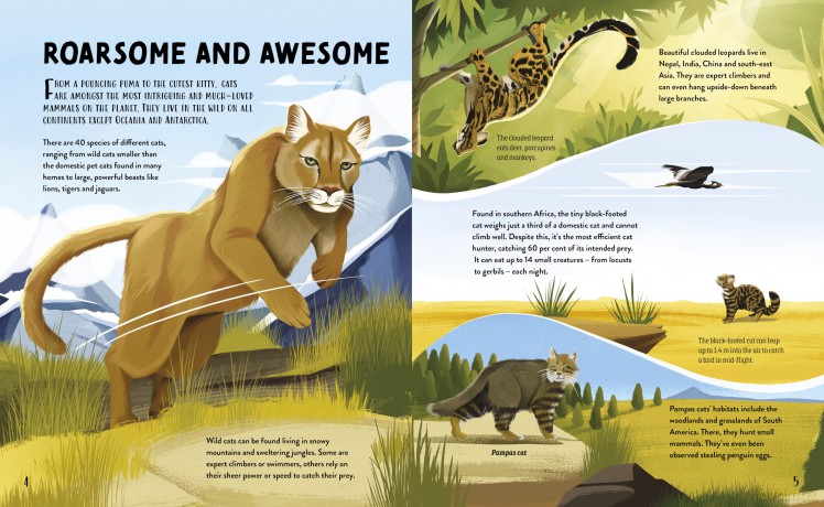 The Furry History of Cats - Clive Gifford [KSIĄŻKA]