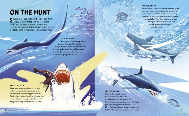The Hungry History of Sharks - Clive Gifford [KSIĄŻKA]