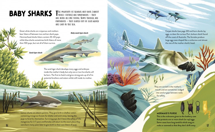The Hungry History of Sharks - Clive Gifford [KSIĄŻKA]