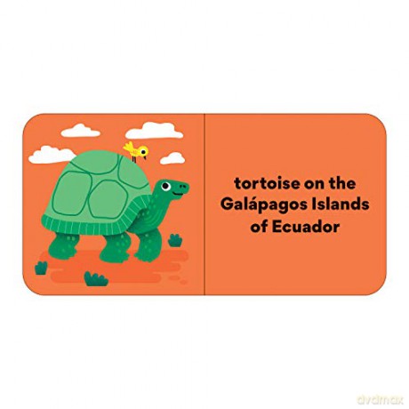 Little Traveler Board Book Set - Erica Harrison [KSIĄŻKA]