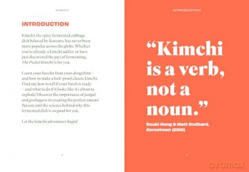 The Pocket Kimchi (Gemini Pockets) - Gemini Books [KSIĄŻKA]