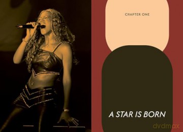 The Essential... Beyoncé (Gemini Essentials) - Anna Pointer [KSIĄŻKA]