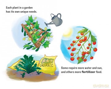Let Your Imagination Sprout!: Based on the True Story of a Community Garden - Landon D'Agate [KSIĄŻKA]