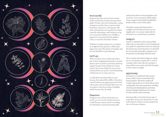 Karma's a Witch: The modern witch's guide to protection spells and karma magic - Midia Star [KSIĄŻKA]