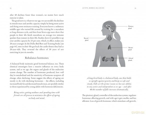 Longevity: The definitive guide to a long, healthy and happy life (Godsfield Bibles) - Susannah Marriott [KSIĄŻKA]