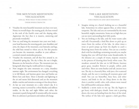 Mindfulness: The Complete Guide to Living in the Moment (Godsfield Bibles) - Dr Patrizia Collard [KSIĄŻKA]