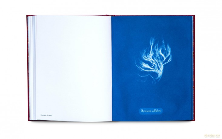 Photographs of British Algae: Cyanotype Imperfections Mandy Baker - Mandy Barker [KSIĄŻKA]