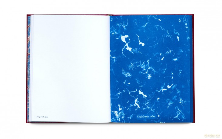 Photographs of British Algae: Cyanotype Imperfections Mandy Baker - Mandy Barker [KSIĄŻKA]