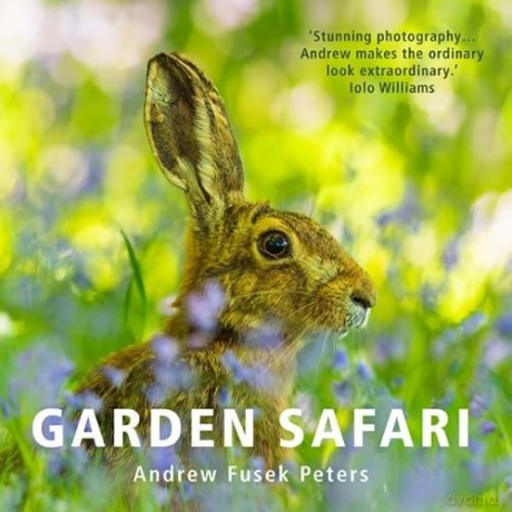 Garden Safari - Andrew Fusek Peters [KSIĄŻKA]